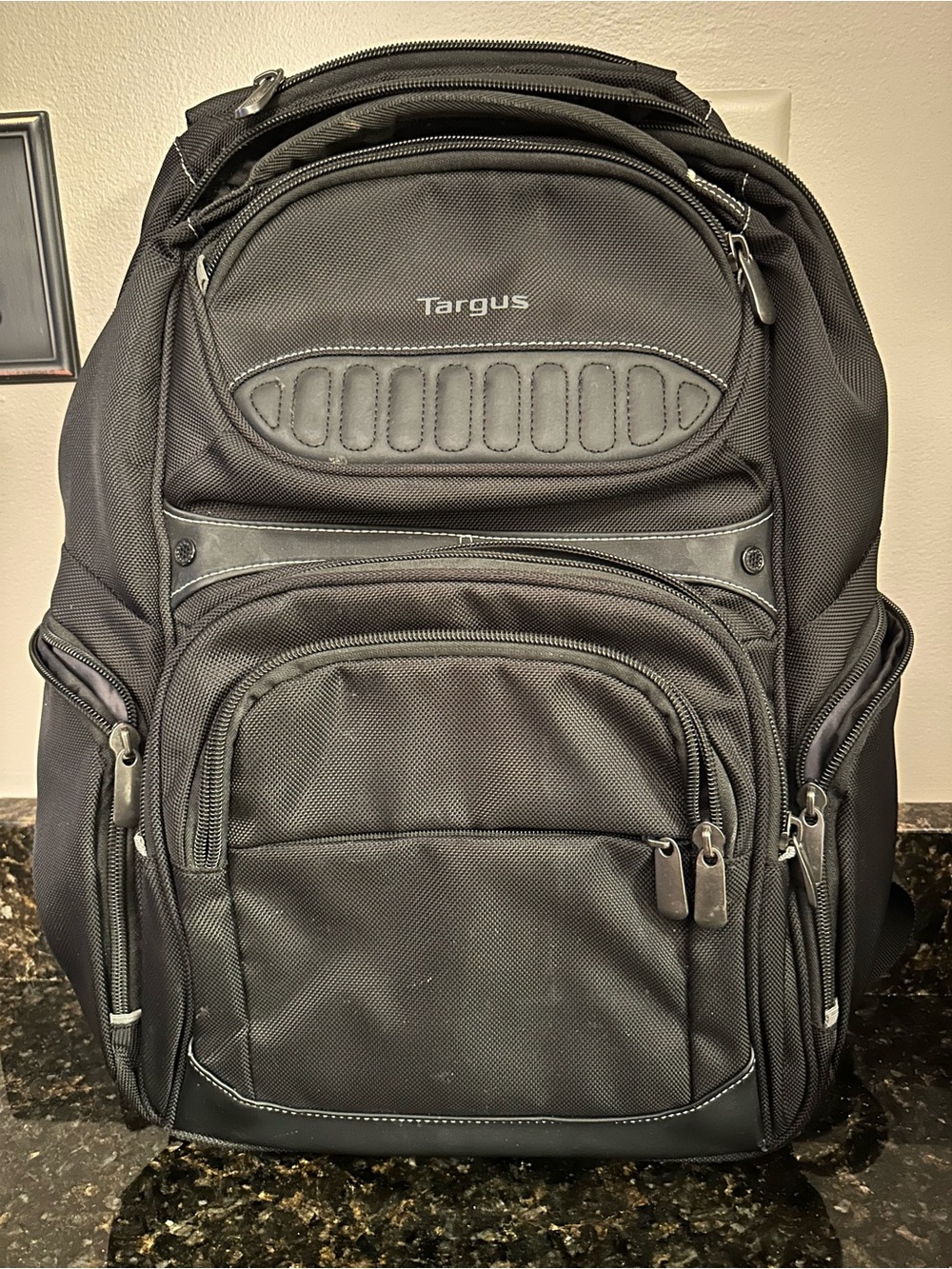 Targus Black Travel and Laptop Backpack